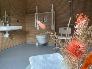 a bathroom with a toilet and a sink at Esehytter Luxury Holiday Home near Beach in Nørre Nebel