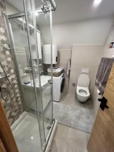 a bathroom with a shower and a toilet at Kuća za odmor ALTEA Pridolci in Busovača