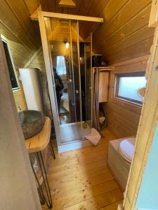 a bathroom with a shower and a sink in a room at Cabane, Kota Désiré in Saint Die