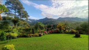 a yard with a green lawn with mountains in the background at Alojamiento Rural Jardín Consentido in Jardin