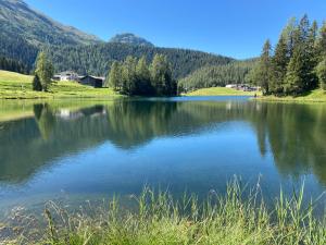 Gallery image of Ferienwohnung Haus Ginseng in Davos