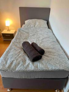 Duas almofadas em cima de uma cama em TOP Apartment für bis zu 4 Personen em Bad Oeynhausen