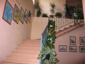 Hotel Bed & Breakfast Minu' في Paravati: درج مع مجموعة من النباتات الفخارية