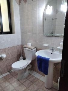 bagno con servizi igienici e lavandino di Spacious apartment in Marsalforn, Gozo a Marsalforn