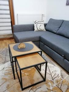 Χώρος καθιστικού στο Divčinova S1