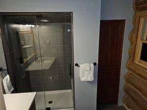 a bathroom with a glass shower and a sink at Moose Mtn Lodge/Luxury Cabin/Hot Tub/Fireplace in Fairplay