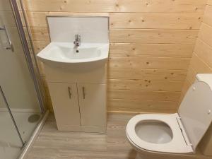 a bathroom with a sink and a toilet at Country Cabin in Mullagh