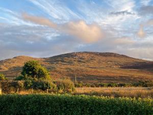 a hill in a field with a mountain in the background at Country Cabin in Mullagh