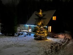 een kerstboom in de sneeuw voor een gebouw bij Pirts māja Lilijas in Baldone