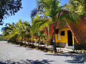 a row of palm trees in front of a yellow building at Pousada Recanto das Flores in Nova Friburgo