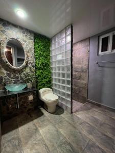a bathroom with a toilet and a sink and a mirror at Cabañas Lago Cerro Azul - Lake of Panama in Cerro Azul