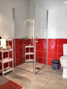 a bathroom with a shower and a toilet at Tikazéla - Escale Tournon-Sur-Rhône in Tournon-sur-Rhône