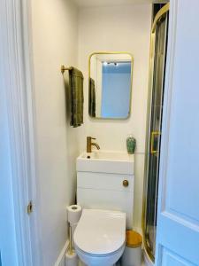 a bathroom with a toilet and a sink and a mirror at Zen Garden Hideaway. Close to Harry Potter&trains. in Leavesden Green