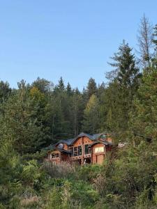 a house sitting in the middle of a forest at Tara Land Lake in Zaovine