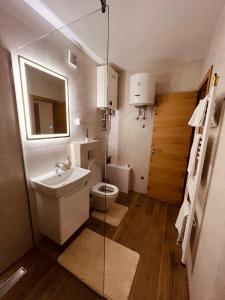 La petite salle de bains est pourvue d'un lavabo et de toilettes. dans l'établissement Apartman 15, à Jahorina