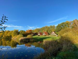 a group of houses on a hill next to a lake at Finnhäuser am Vogelpark - Haus Luise in Marlow