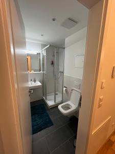 a bathroom with a toilet and a shower and a sink at New Business Apartment Nr.15 in Dresden