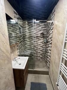 un bagno con lavandino e doccia di Mazepa Apartment a Galaţi