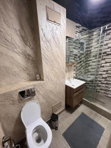 un bagno con un water e un lavandino di Mazepa Apartment a Galaţi