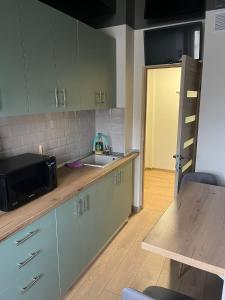 una cucina con lavello e microonde di Mazepa Apartment a Galaţi