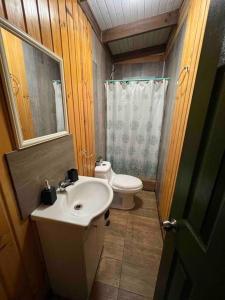 La petite salle de bains est pourvue d'un lavabo et de toilettes. dans l'établissement Espectacular Tiny House,terraza,Aire acondicionado, à Puerto Octay