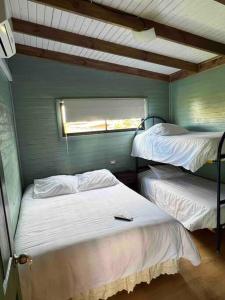 2 Etagenbetten in einem Zimmer mit Fenster in der Unterkunft Espectacular Tiny House,terraza,Aire acondicionado in Puerto Octay