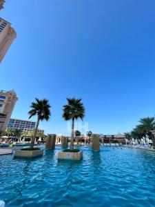 a swimming pool with palm trees in the water at Fairmont Marina Residences Apartment in Abu Dhabi