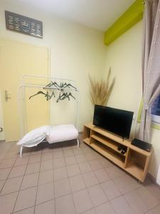 a living room with a tv and a chair at Loft à partager in Seclin