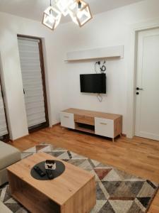 TV in/ali zabaviščno središče v nastanitvi Divčinova S4