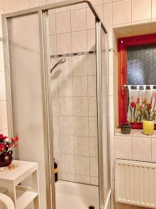 a shower with a glass door in a bathroom at Ferienzimmer Healing und Montuerwohnung in Weißenfels