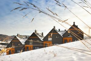 una fila de casas en la nieve en Aroma Domki - Krynica Zdrój en Krynica Zdrój