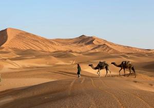 Hosté ubytování Sahara Luxury Camp