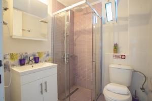 a bathroom with a shower with a toilet and a sink at Romanza Studios in Vasiliki +33 photos