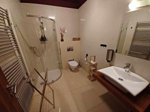 Kúpeľňa v ubytovaní Apartmán Mirka - Tatra Mountain Resort G104