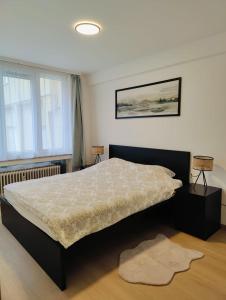 - une chambre avec un grand lit et une fenêtre dans l'établissement Bright & Cozy Appartment in Brussels, à Bruxelles