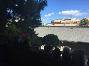 a group of potted plants in front of a building at Spacious 2 bedrooms. Prime Location (entire place) in Los Angeles