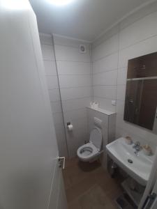 La salle de bains blanche est pourvue de toilettes et d'un lavabo. dans l'établissement Oaza 2, à Banja Luka