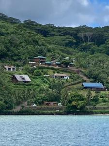 an island with houses and trees next to the water at Fare Anuanua in Haapiti