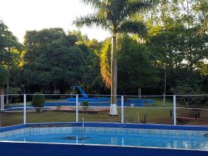 a swimming pool in a park with a palm tree at Hotel-Balneario Acuamanía in Hernandarias