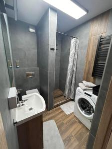 La salle de bains est pourvue d'un lavabo et d'un lave-linge. dans l'établissement FAMILY HAUSE, à Witów