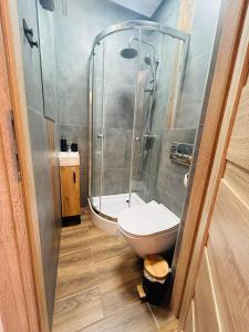 La petite salle de bains est pourvue d'une douche et de toilettes. dans l'établissement FAMILY HAUSE, à Witów