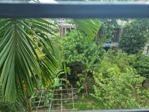 a view of a garden with trees and plants at Moshahid Ali House in Sylhet