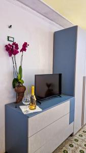 卡潘諾里的住宿－Wine House，蓝色的橱柜,里面配有电视和鲜花