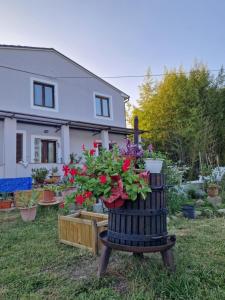 ein Haus mit einer Topfpflanze im Hof in der Unterkunft Wine House in Capannori