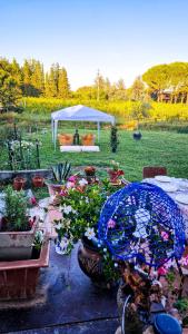 Foto dalla galleria di Wine House a Capannori