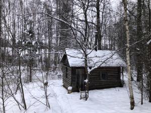 una cabaña de madera con nieve en el bosque en Pine trees, en Evarti