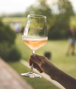 Fotografie z fotogalerie ubytování Enlace Wine House v destinaci Ciudad Lujan de Cuyo