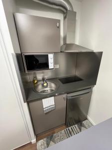 uma pequena cozinha com um lavatório e um micro-ondas em 2 PIECES proche du centre PARIS 15 min em Rosny-sous-Bois