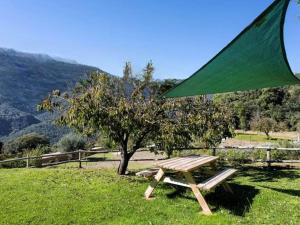 Afbeelding uit fotogalerij van Rural apartment with nice views and shared pool in Montseny