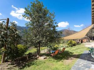 een patio met een boom en stoelen en een tent bij Rural apartment with nice views and shared pool in Montseny
